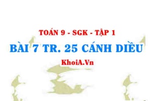 Bài 7 trang 25 Toán 9 Cánh diều Tập 1